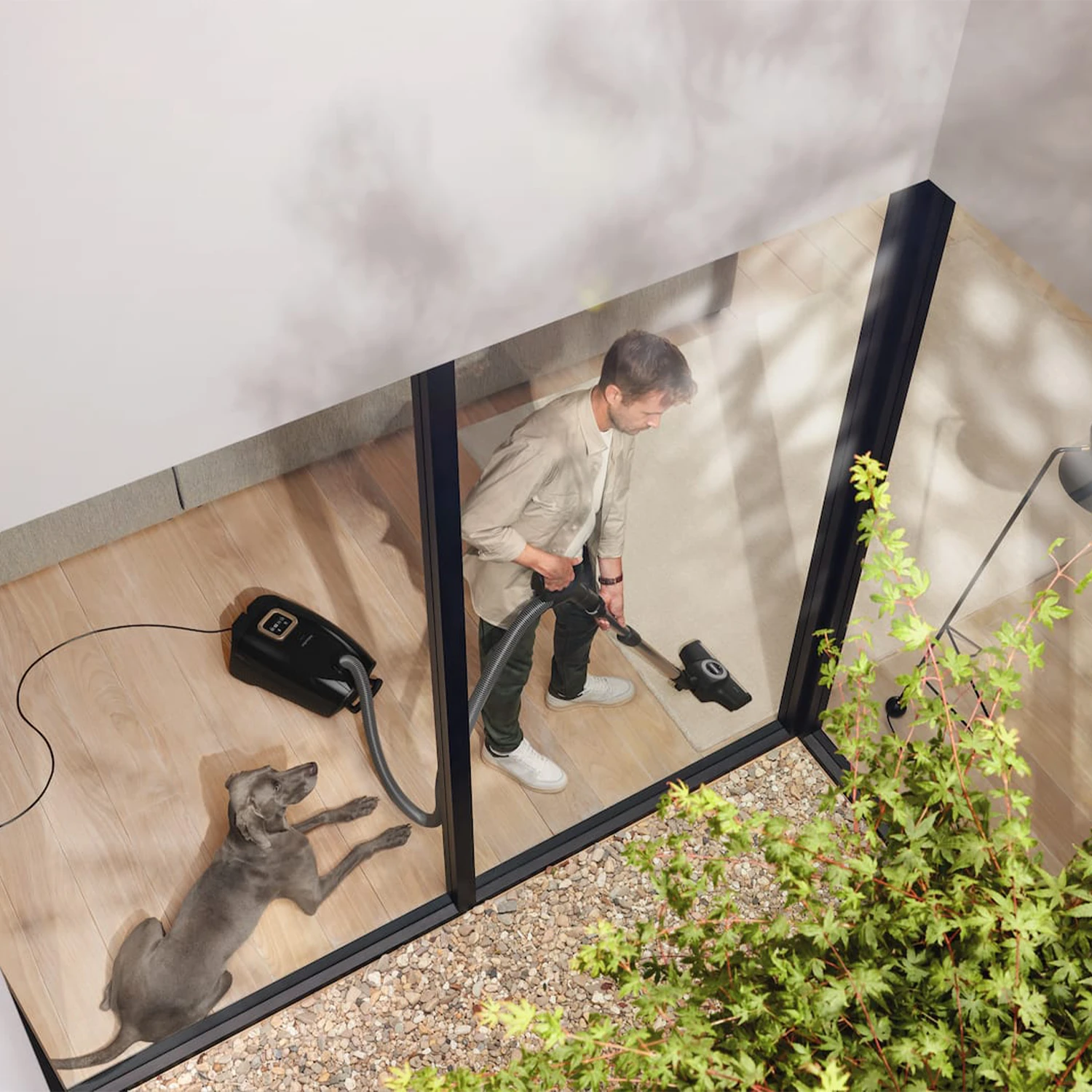 Miele Guard L1 Cat-Dog Toz Torbalı Süpürge (OUTLET)