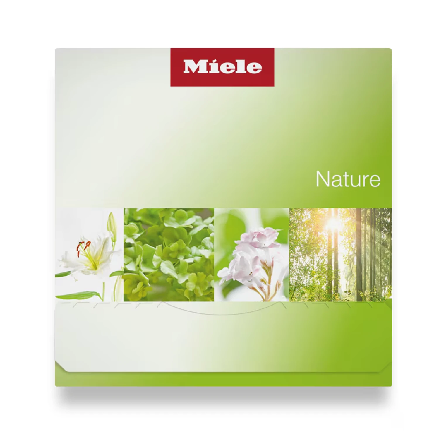 miele koku flakonu nature yesil kutu gorsel