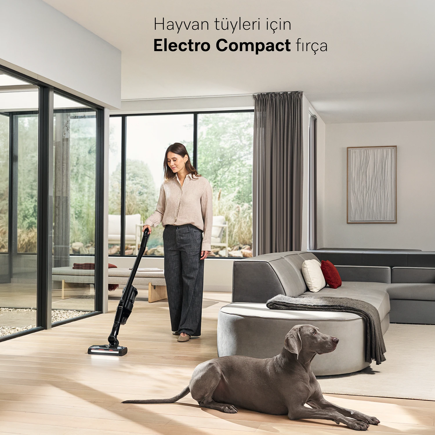 Miele Triflex HX3 Cat & Dog - Şarjlı Dik Süpürge